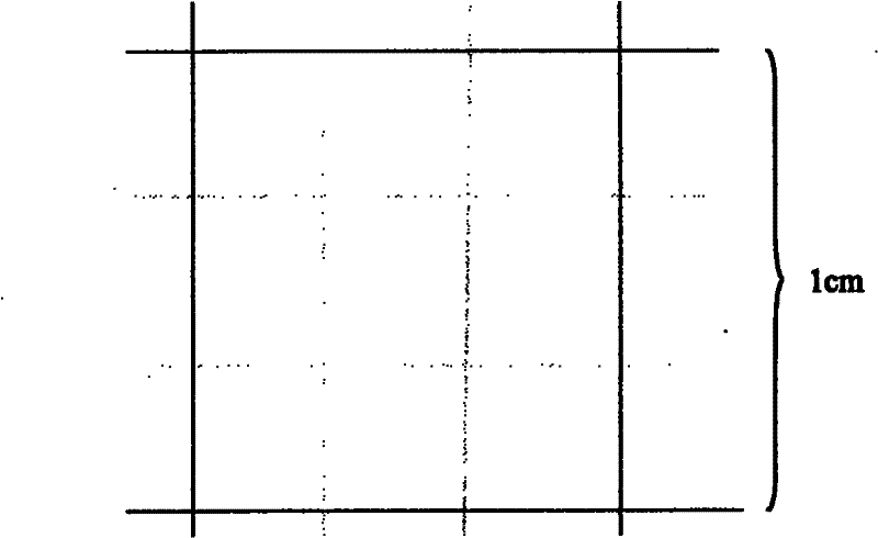 Anti-mosquito bounced color flash curtain and production method thereof