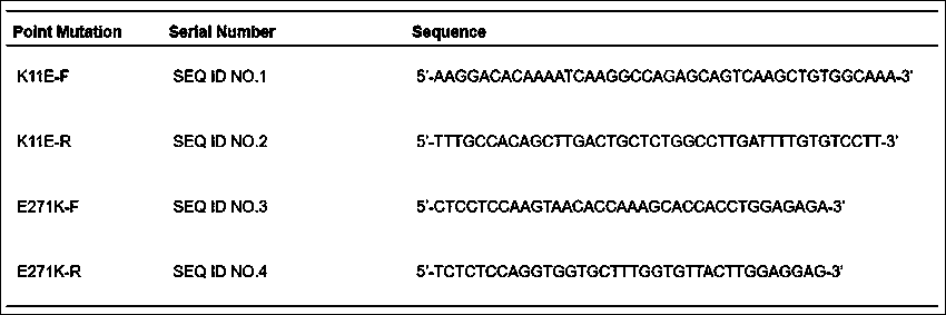 Method for inhibiting tumor growth by DDX24 helicase point mutation and application of DDX24 helicase