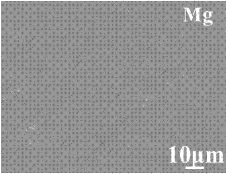 Method for constructing tartaric acid coating layer with corrosion protection function on surface of magnesium metal