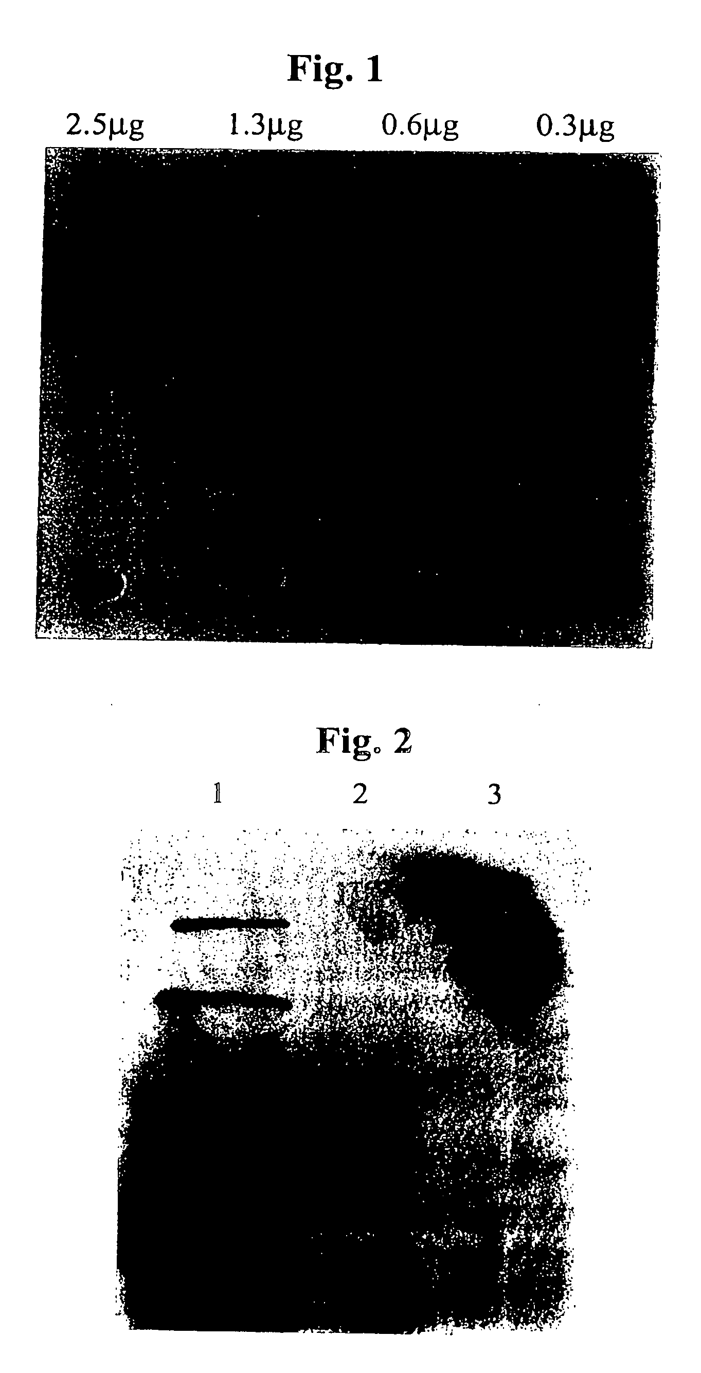 Methods and compounds for the treatment of mucus hypersecretion