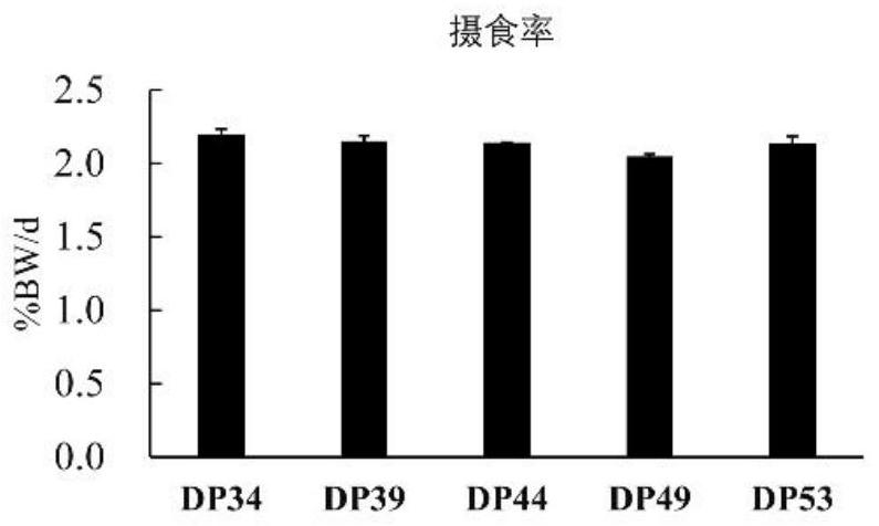 Pelteobagrus fulvidraco parent breeding feed, preparation method and identification method