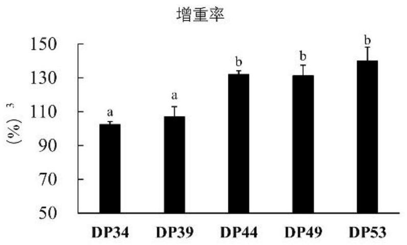 Pelteobagrus fulvidraco parent breeding feed, preparation method and identification method