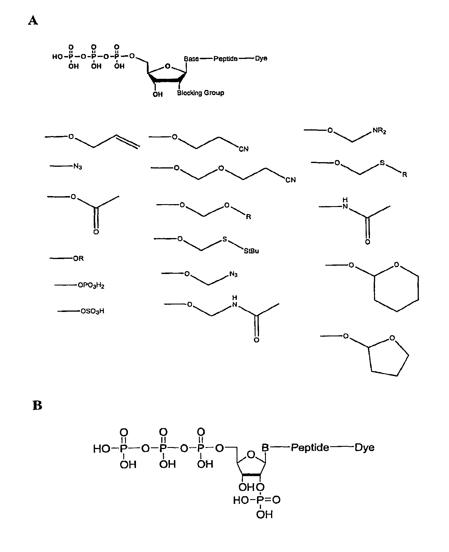 Compositions and methods for nucleotide sequencing