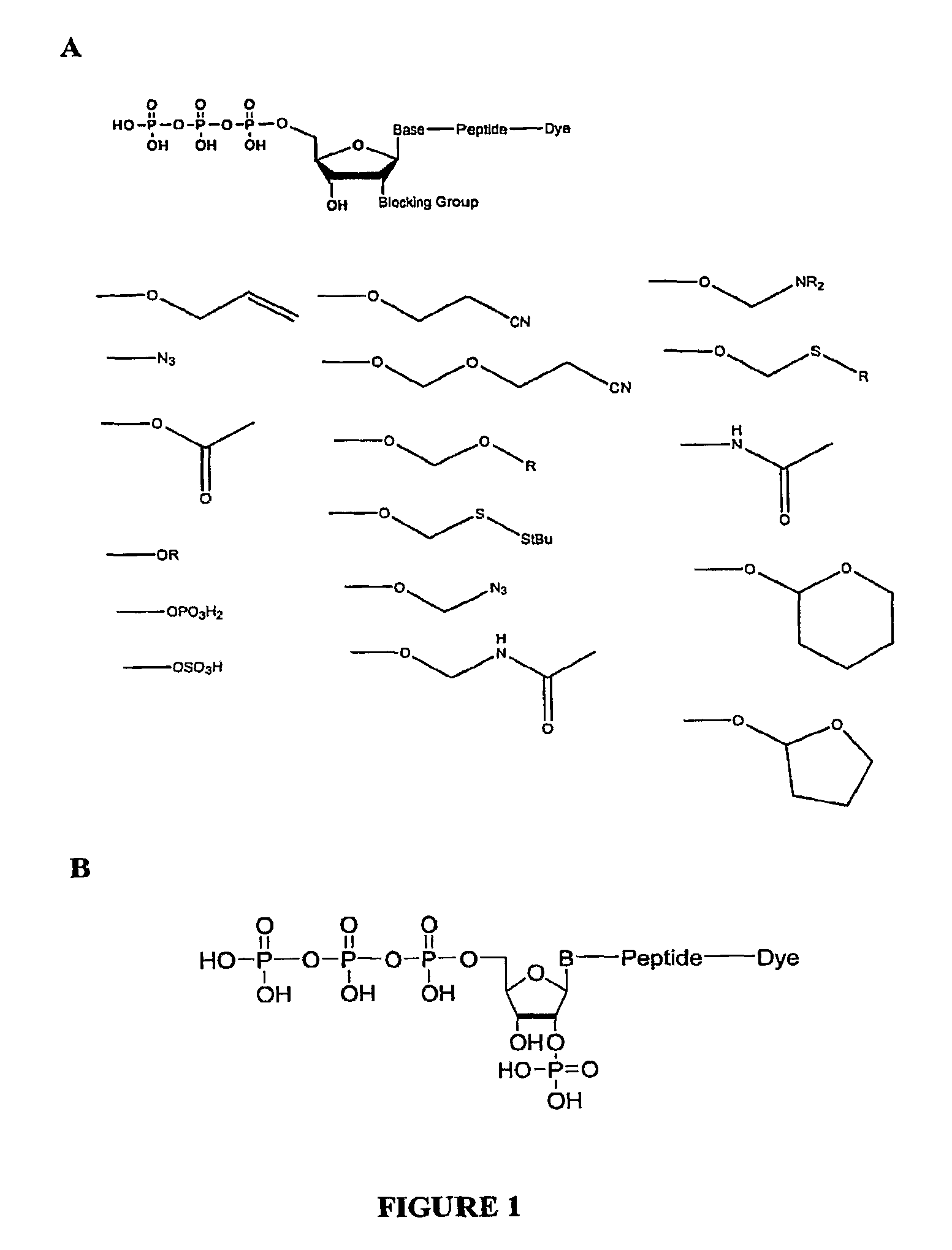 Compositions and methods for nucleotide sequencing