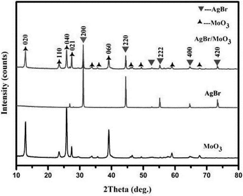 Composite light catalyst for quickly and efficiently degrading rhodamine B and preparation method of composite light catalyst