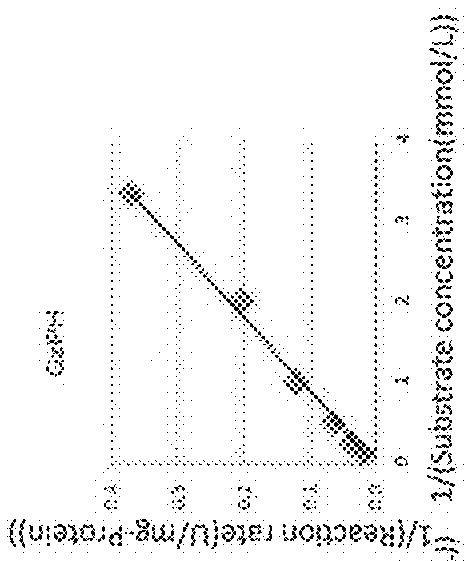 Method for producing hydroxy-l-pipecolic acid