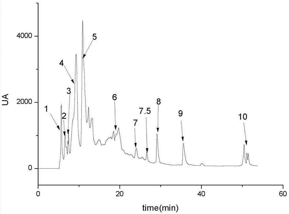 Method for extracting antineoplastic active component from Armillaria luteo-virens and application thereof