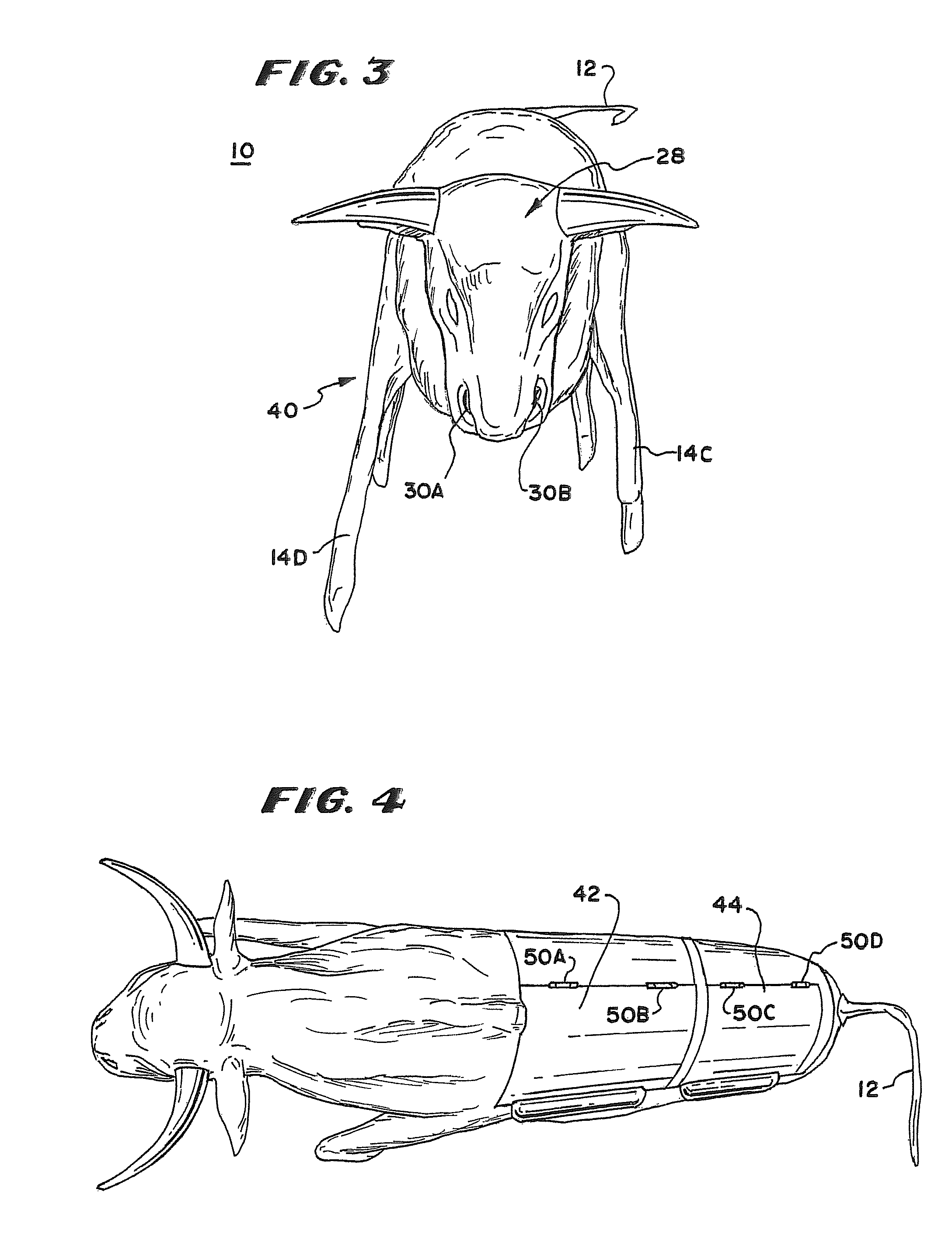 Meat treatment apparatus and method