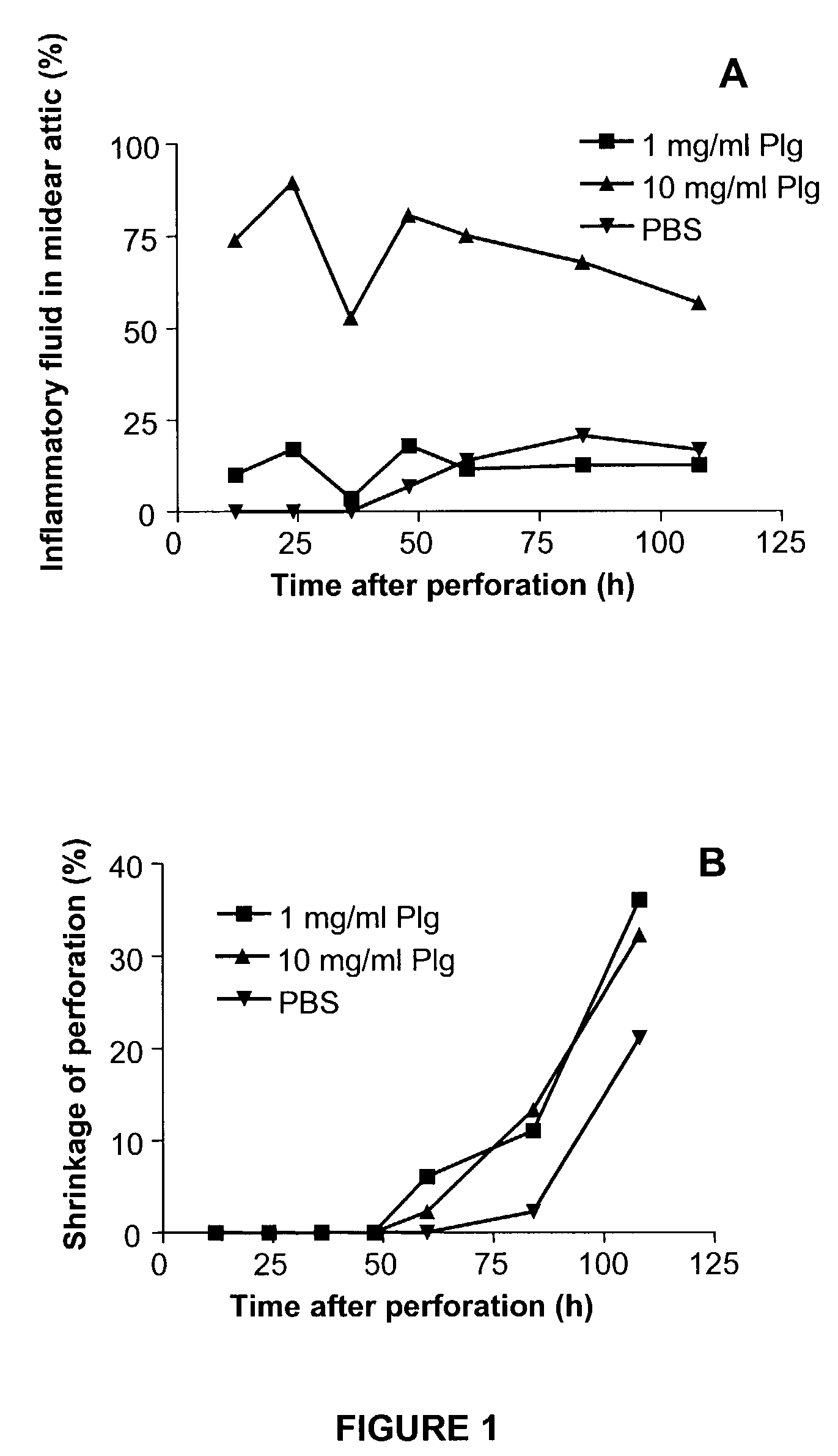 Method of promoting healing of a tympanic membrane perforation