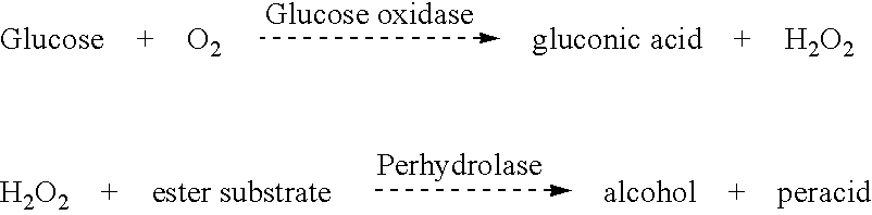 Enzyme for the production of long chain peracid