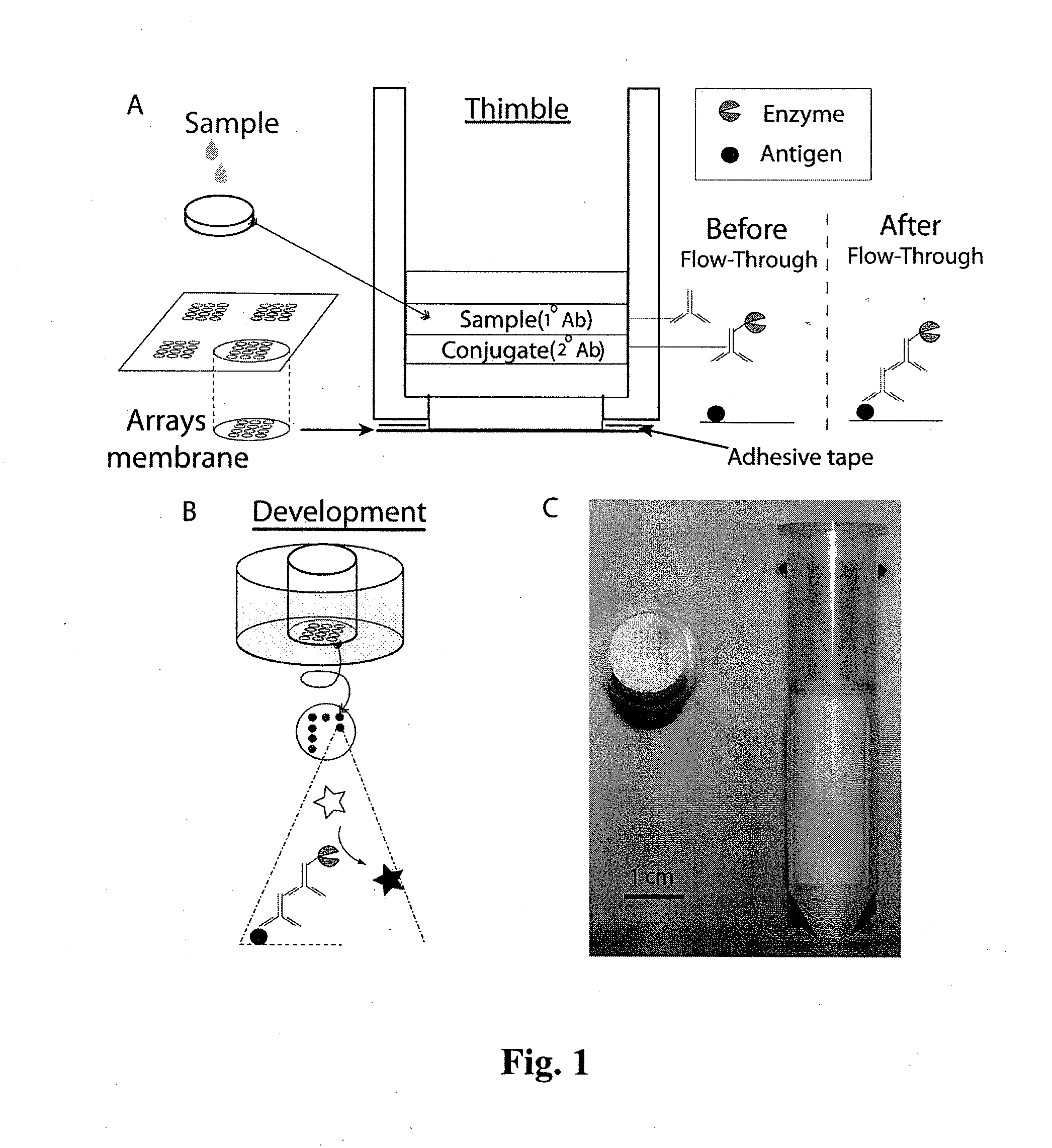 Vertical flow-through devices for multiplexed elisa driven by wicking