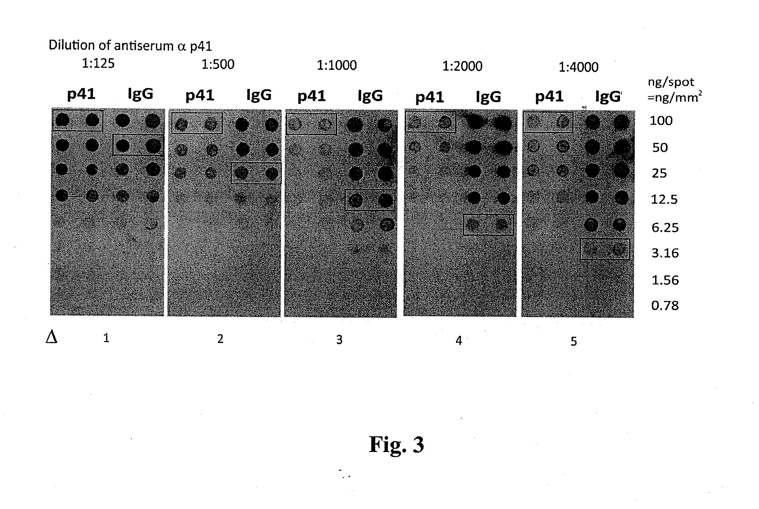 Vertical flow-through devices for multiplexed elisa driven by wicking