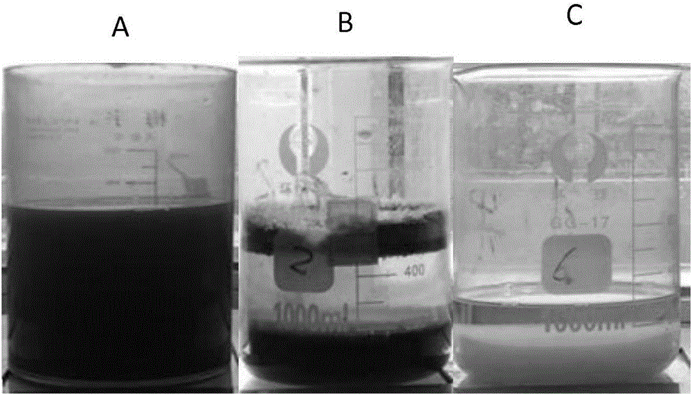 Biogas slurry treatment method