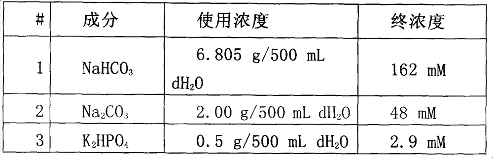 Microorganism culture system