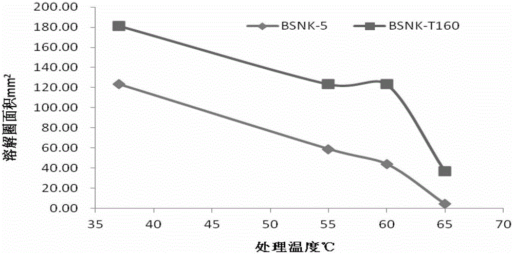 Strain for nattokinase with high activity and thermal stability and fermented product thereof