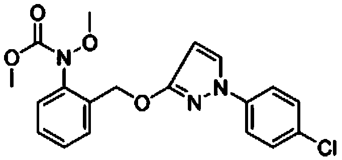 Bactericidal composition containing pyraclostrobin and difenoconazole and application thereof