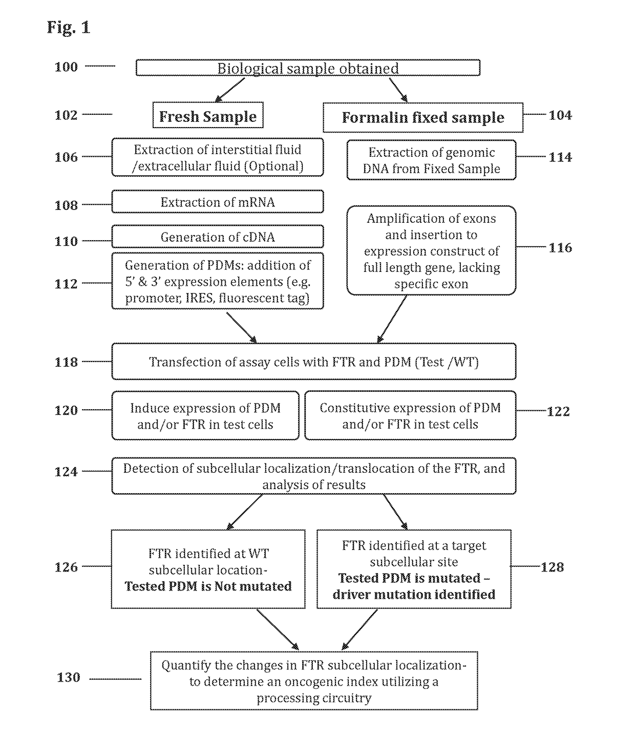 Methods and systems for determining oncogenic index of patient specific mutations