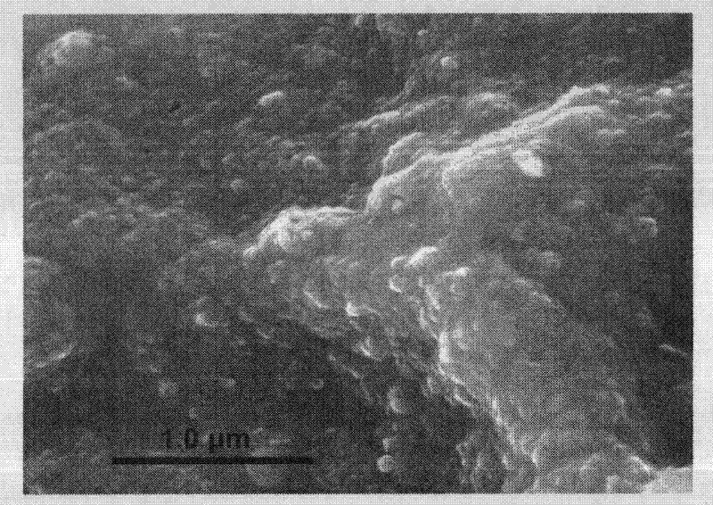 Soybean protein-calcium carbonate nano-adhesive as well as preparation method and application thereof