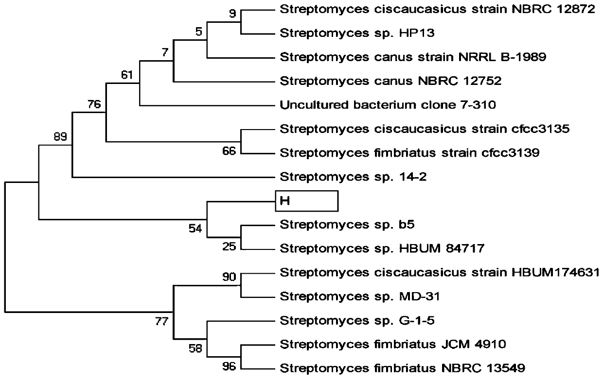 A kind of atrazine-degrading bacteria and its application