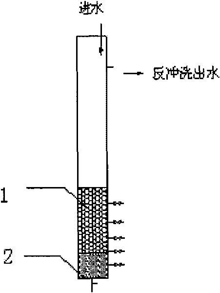 Ferrate pre-oxidation-bioactivity filter combined water treatment method