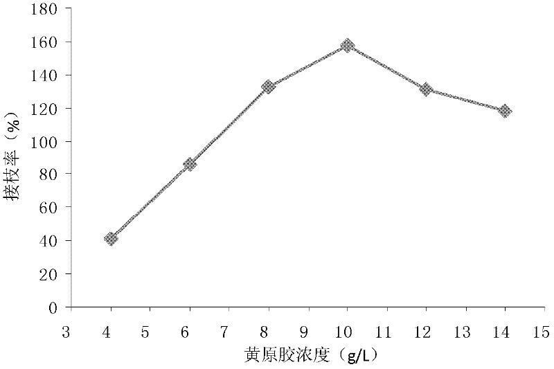 Xanthan gum- azo-vinyl pyrrolidone graft copolymer and preparation method and application thereof