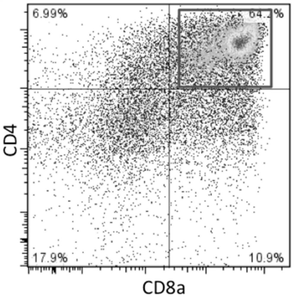 Method for inducing T cells for cellular immunotherapy from pluripotent stem cells