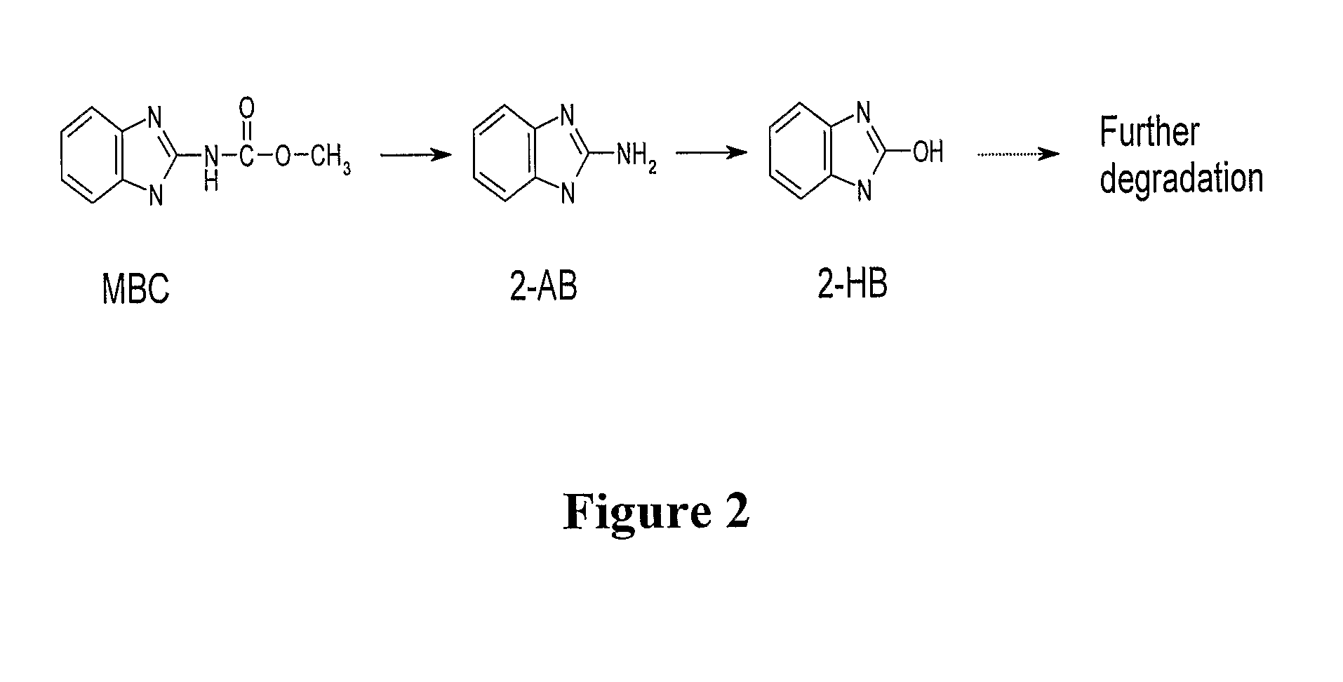 Methods for degrading toxic compounds