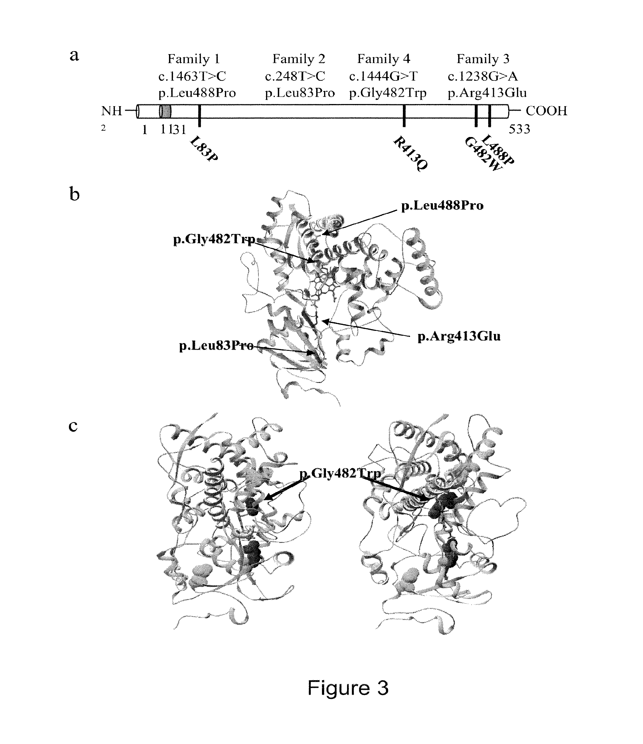 Methods for the treatment and diagnosis of bone mineral density related diseases