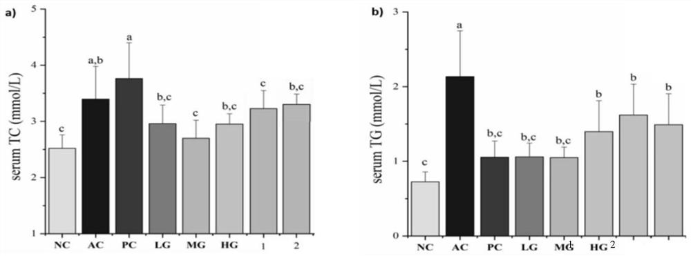 Preparation method of plant functional protein and application of plant functional protein in protection of acute alcoholic liver injury