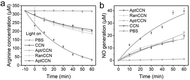 Preparation method and application of photocatalyst based on arginine aptamer