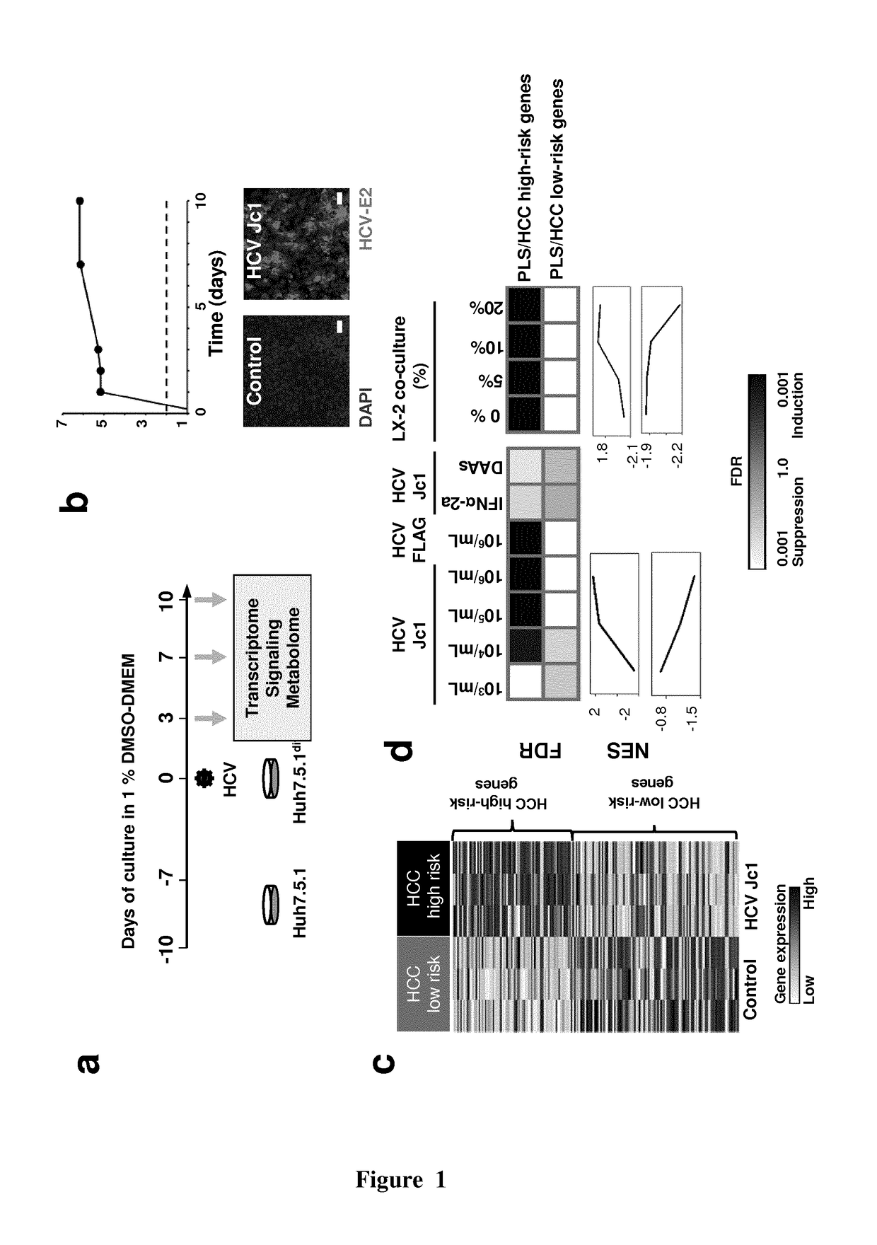 Clinical gene signature-based human cell culture model and uses thereof