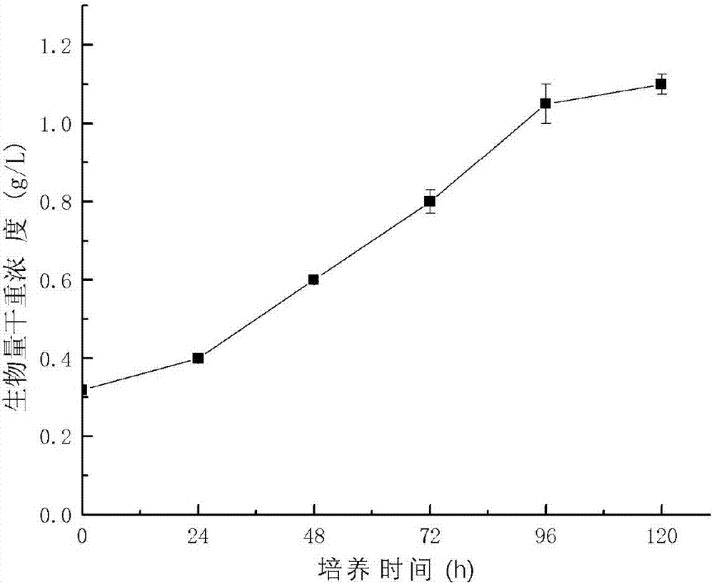 Method for producing fucoxanthin by heterotrophic culture of smooth nitzschia