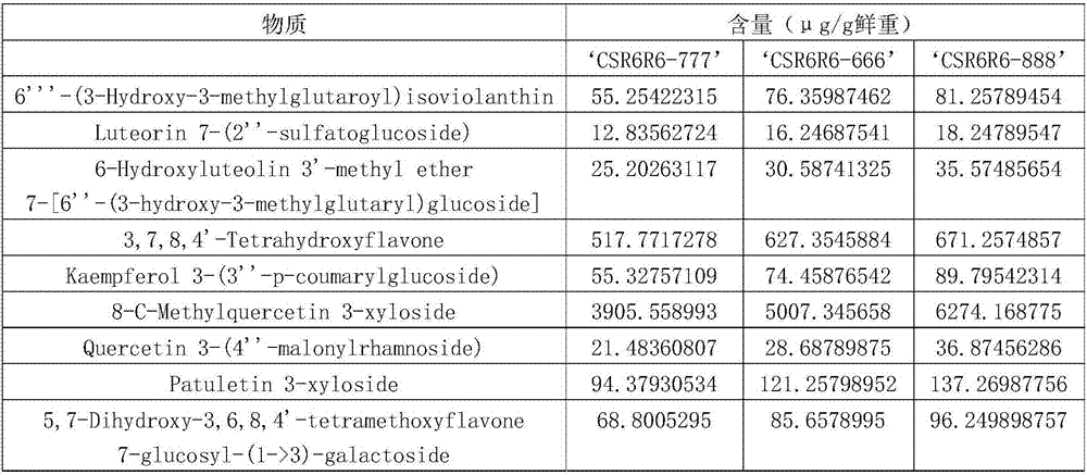 Dry high-flavonoid apple wine and preparation method thereof