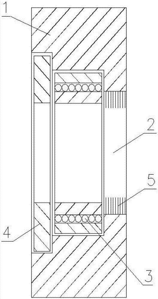 Bearing support frame