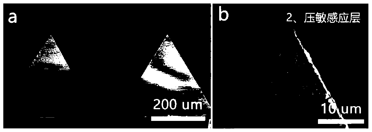 Electronic skin having classified voltage crest structure and preparation method of electronic skin