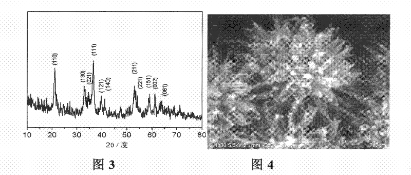 Method for preparing urchin-shaped hydroxyferric oxide and urchin-shaped ferric oxide nano material
