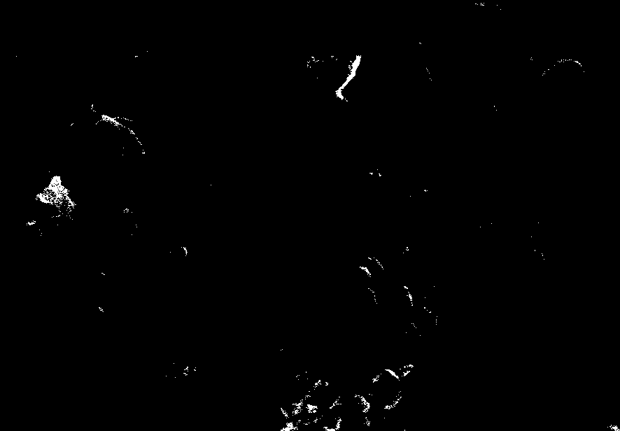 Coal-based nano-porous carbon material prepared by adopting template method and preparation method thereof