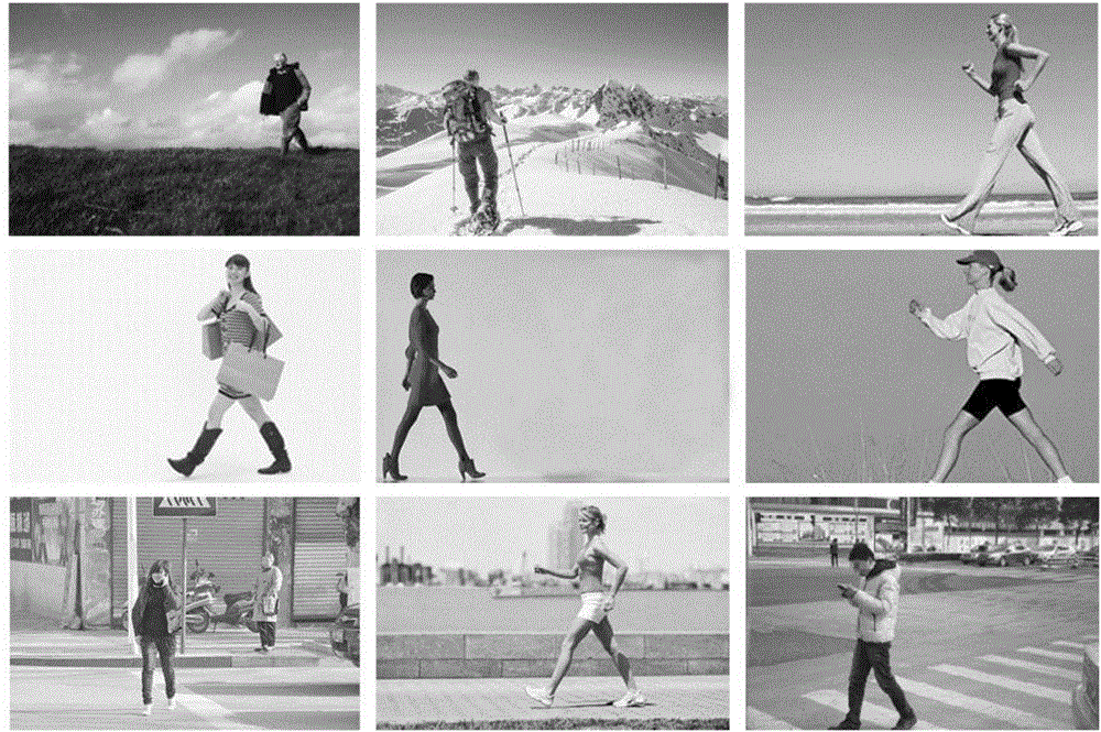 Method for evaluating gait recognition performance based on motion capturing frame