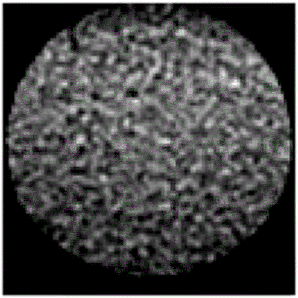 Portable non-mydriatic fundus imaging device