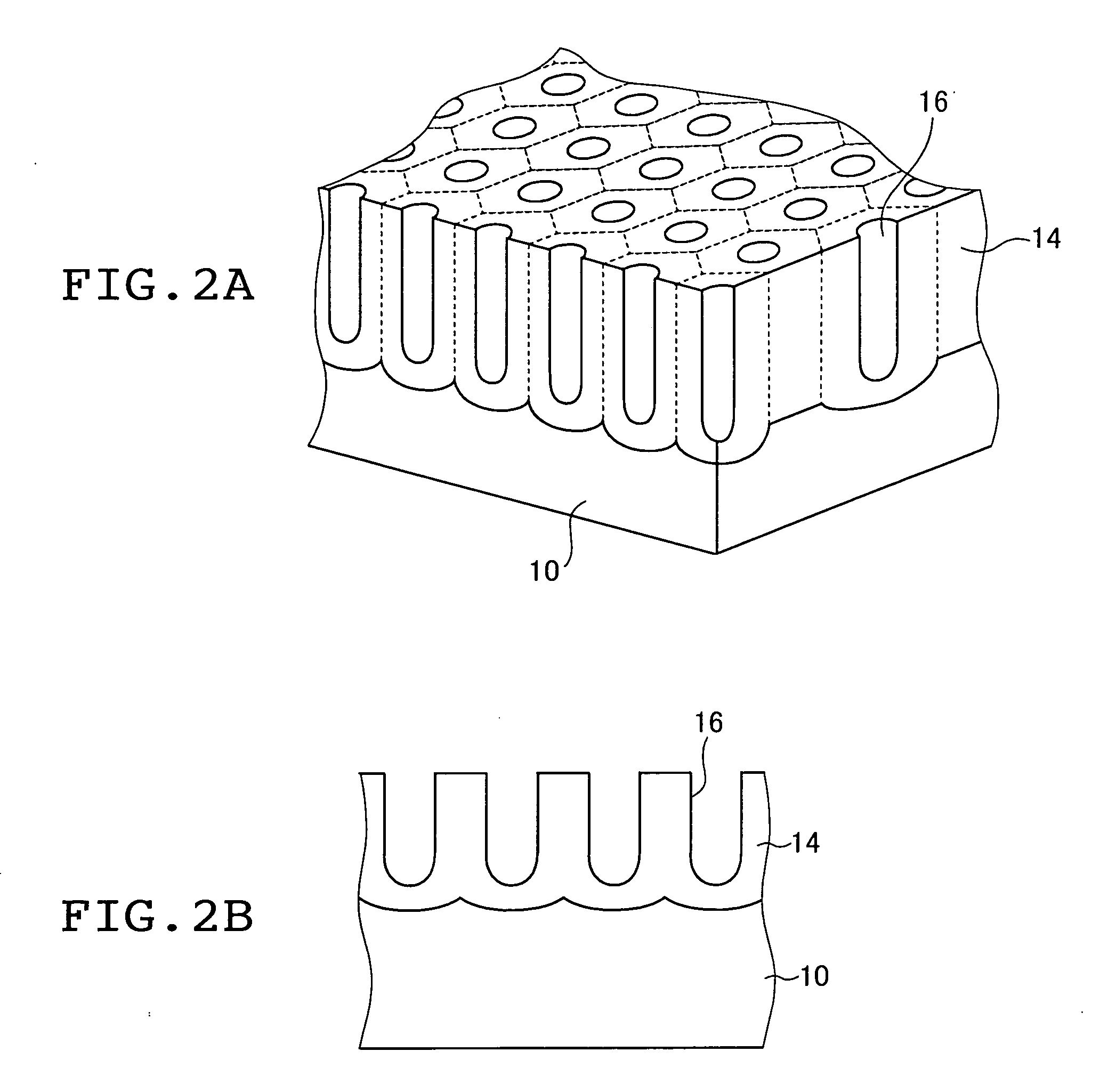 Fine structural body and method of producing the same