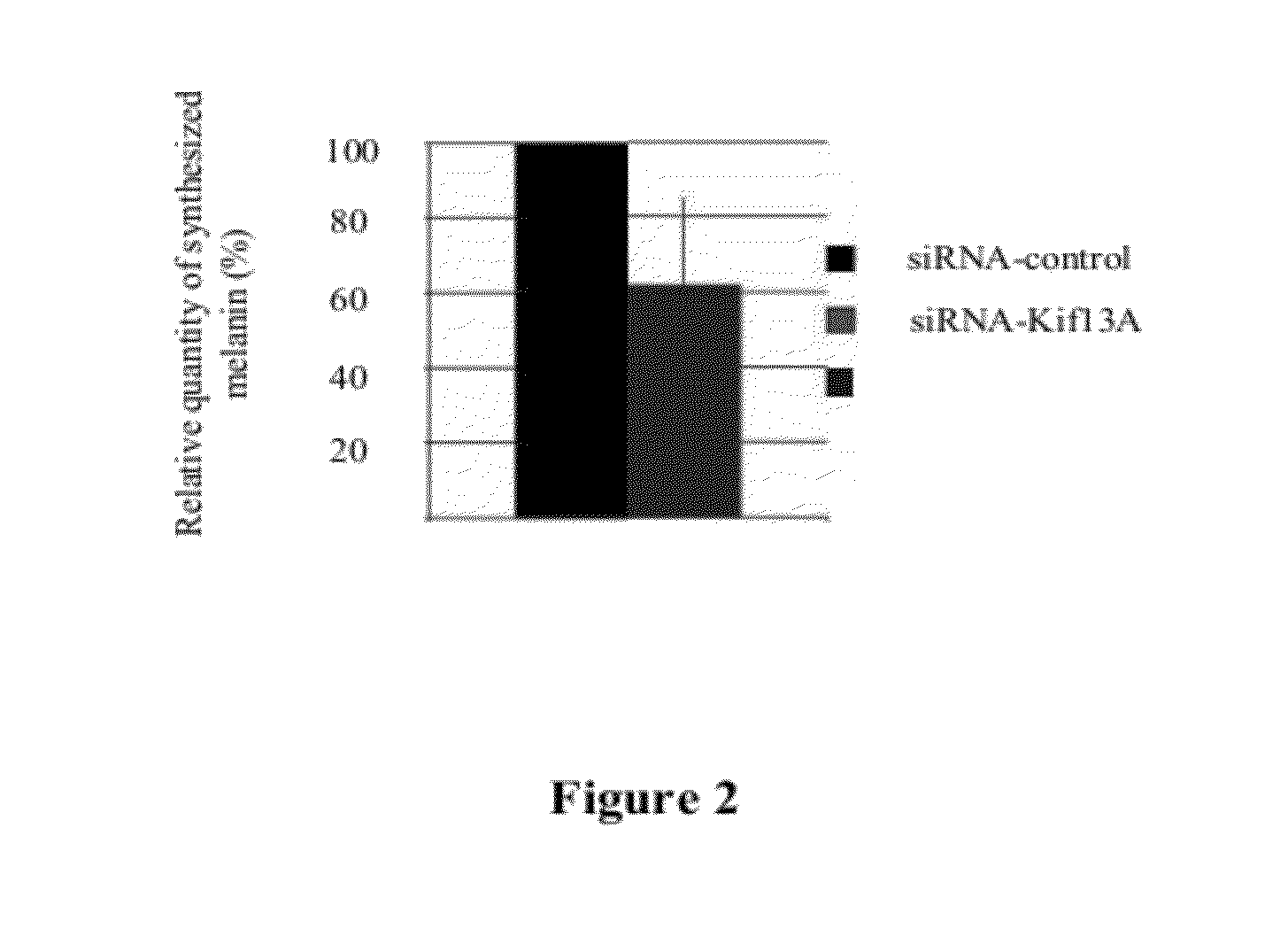 Use of kif13a  and ap-1 inhibitors for inhibiting melanogenesis