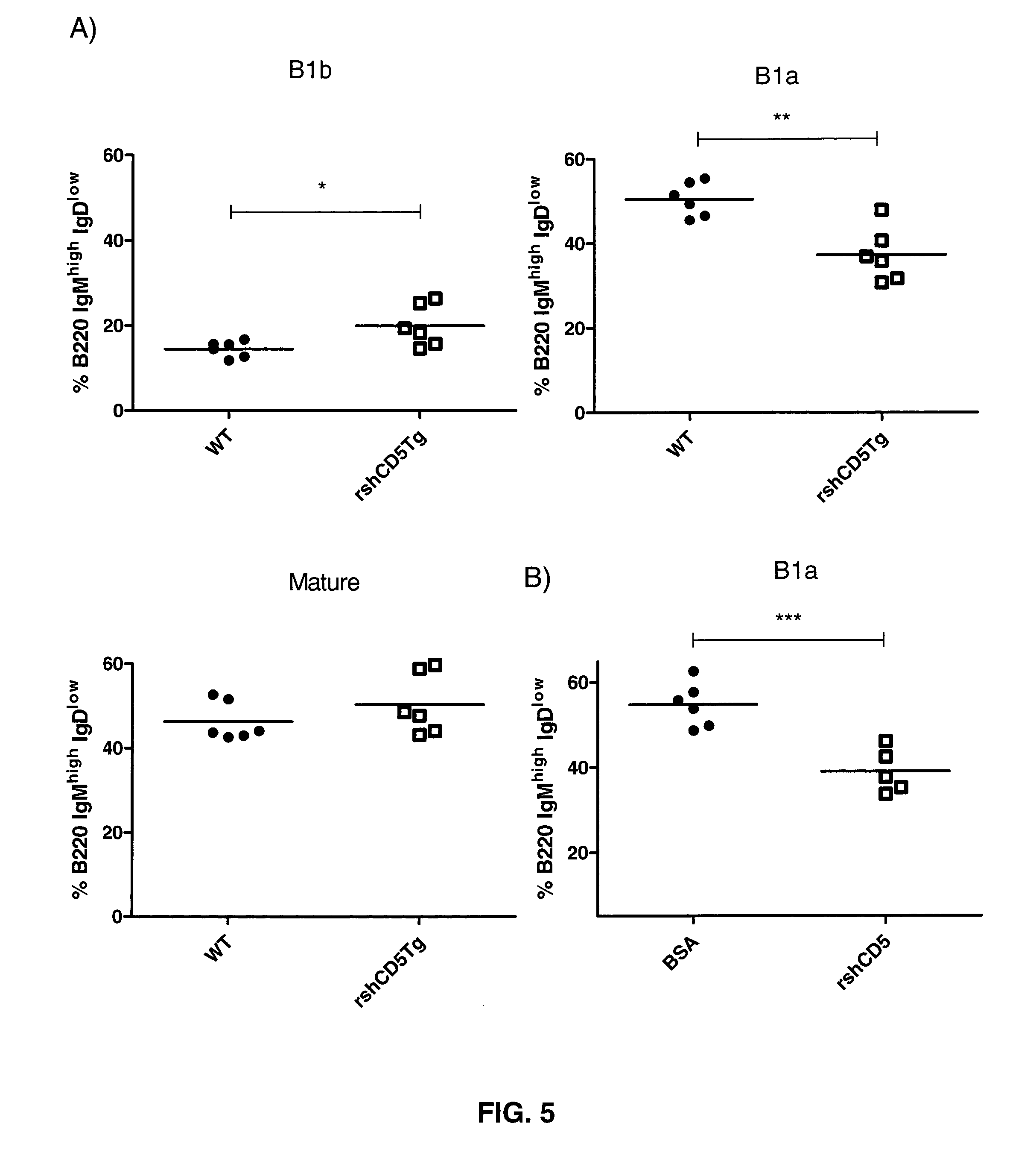 Soluble protein CD5 or CD6 for the treatment of cancer or tumor or for use as an adjuvant