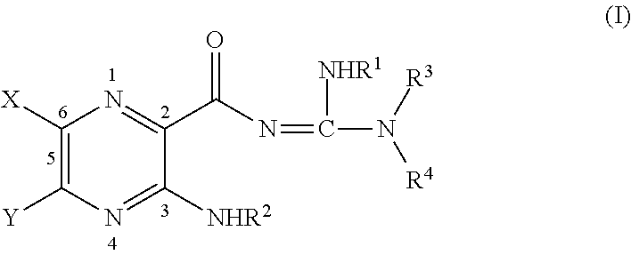 Cyclic amide and ester pyrazinoylguanidine sodium channel blockers