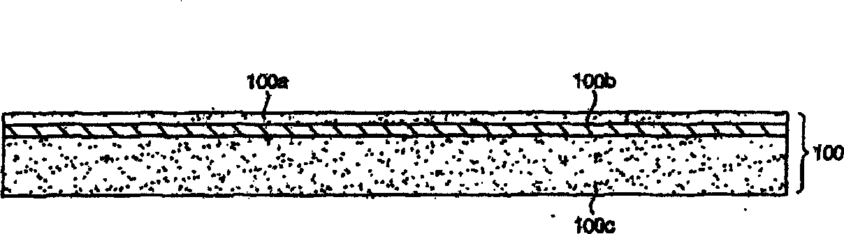 Flexible electro-optical apparatus and method for manufacturing the same