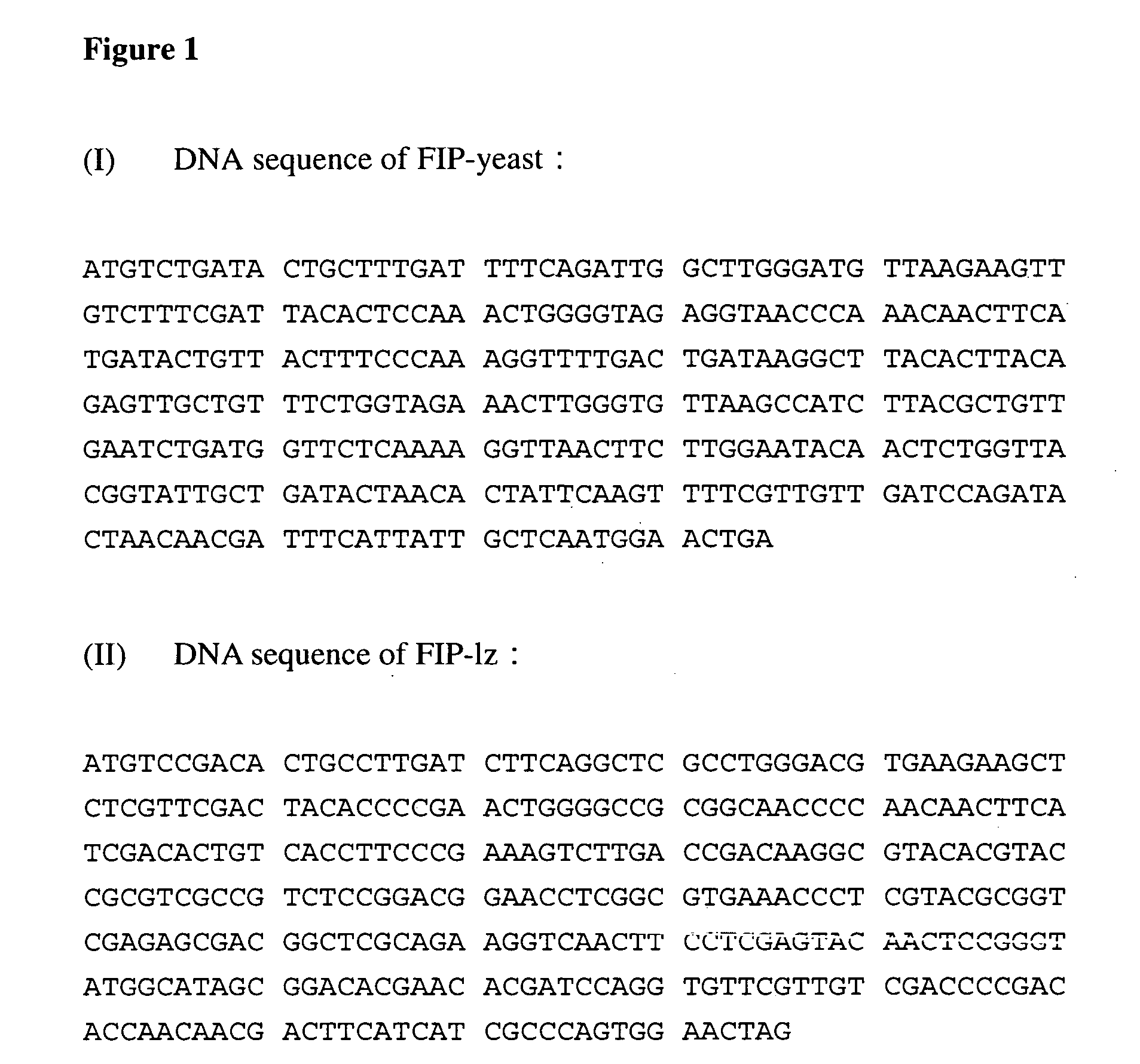 Fungal immunomodulatory protein (fip) prepared by microorganisms and uses thereof