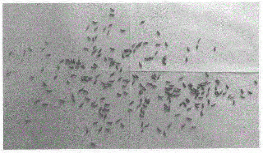 Image segmentation technology based granule counting method