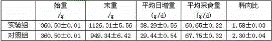 High-protein high-calcium feedstuff prepared from fermented moringa seeds and preparation method of high-protein high-calcium feedstuff