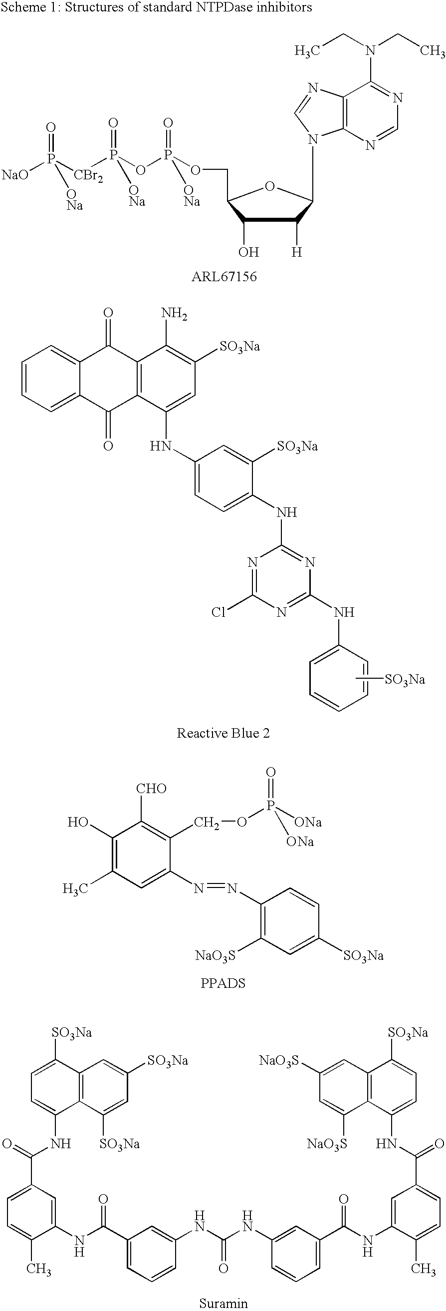 Ectonucleotidase inhibitors