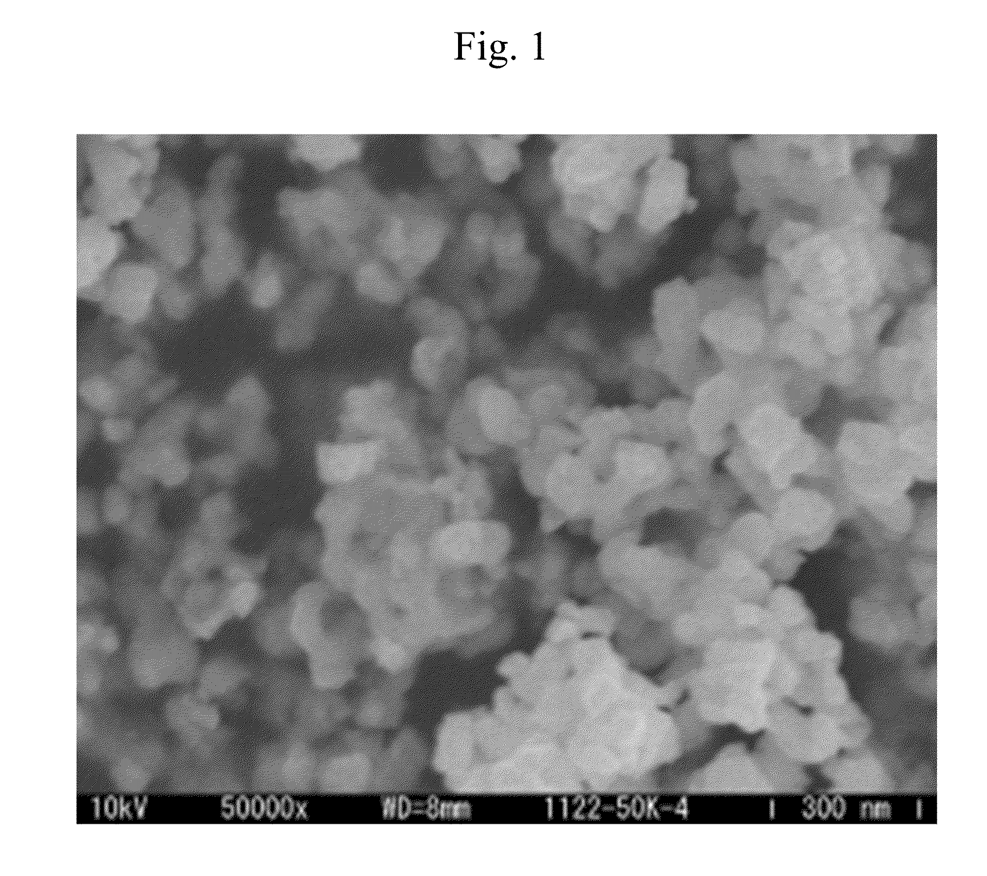 Fine metal carbide particles and methods of manufacturing the same