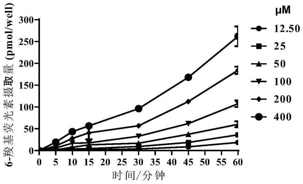 Cell model for screening in-vitro activity of URAT1 inhibitor as well as construction method and screening method of cell model